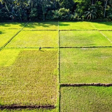 Terra Madre 2024: Cia, “Essere Natura” è stare dalla parte degli agricoltori