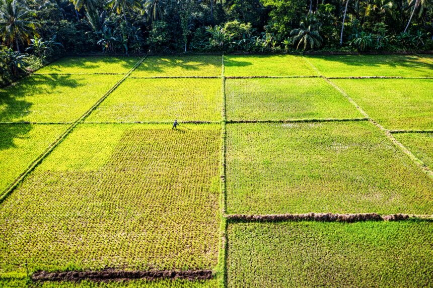 Terra Madre 2024: Cia, “Essere Natura” è stare dalla parte degli agricoltori