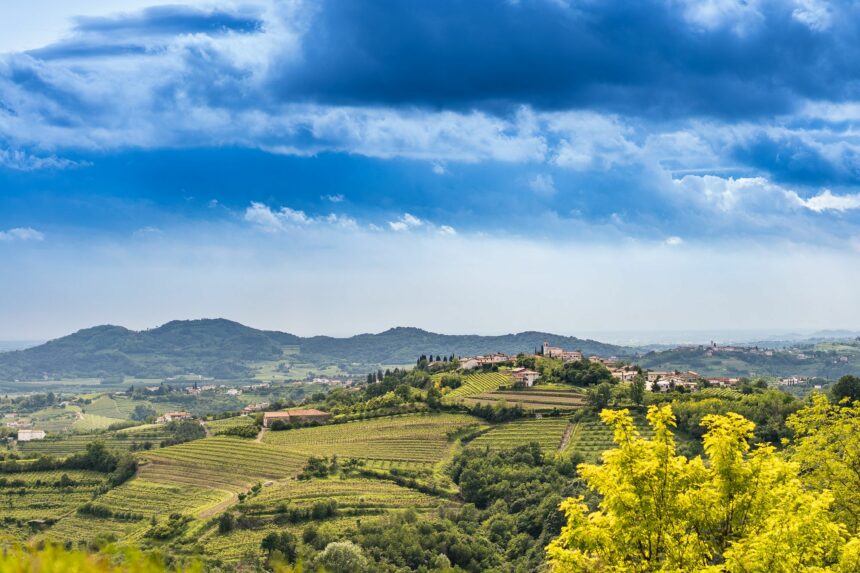 Consorzio Collio, SQNPI – Il Consorzio Tutela Vini Collio conferma il suo impegno per la sostenibilità.