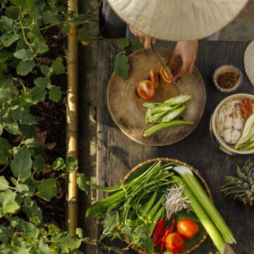 Come mantenere una corretta alimentazione per la sintesi ormonale nelle varie fasi della vita